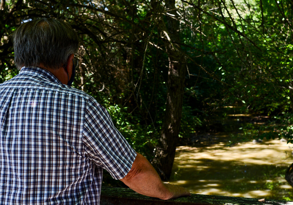 Denny Stephenson looks out at the Sugar Branch Creek